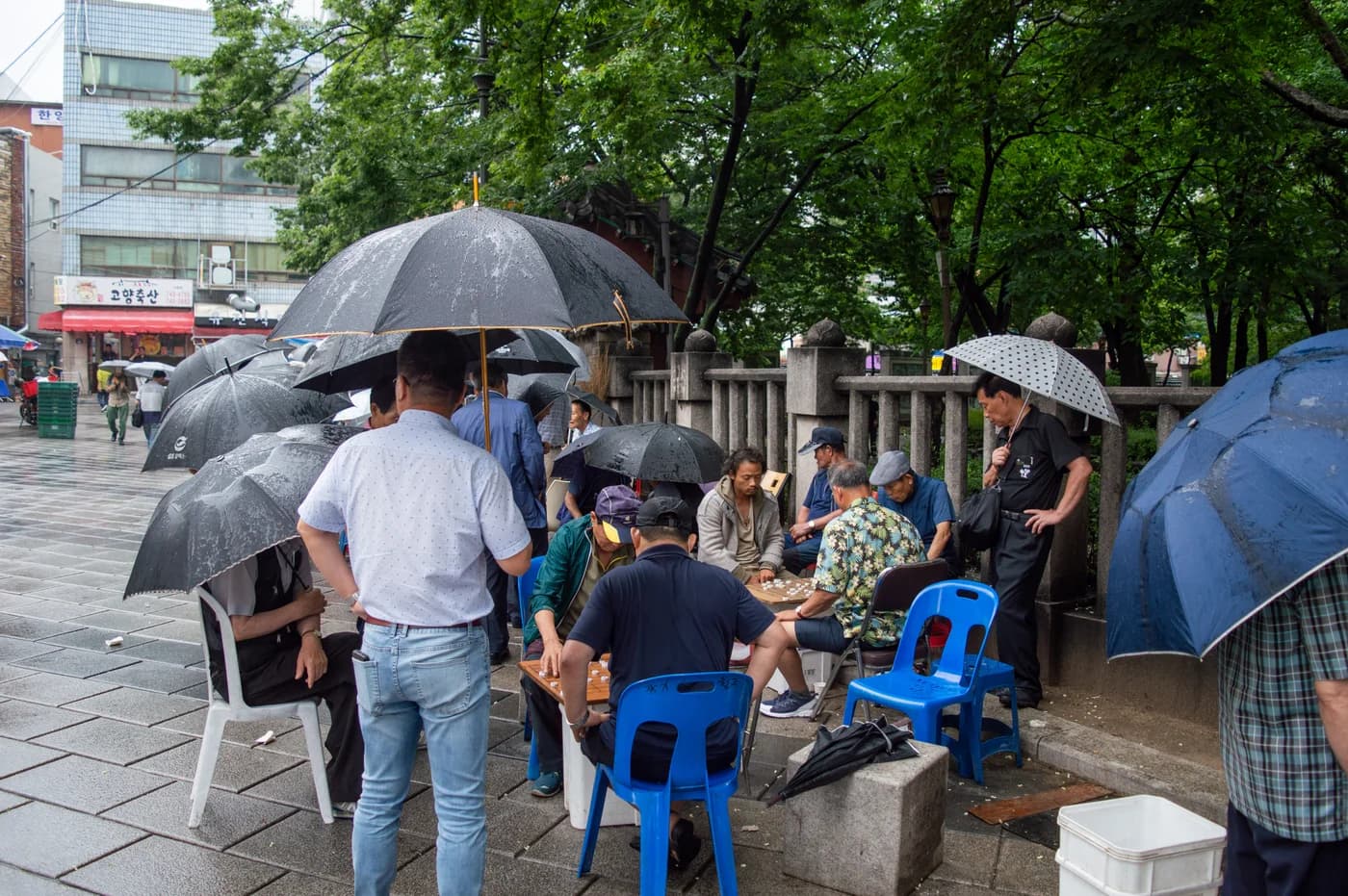 People sit and stand around a janggi game under umbrellas beside Tapgol Park in Seoul during rain.