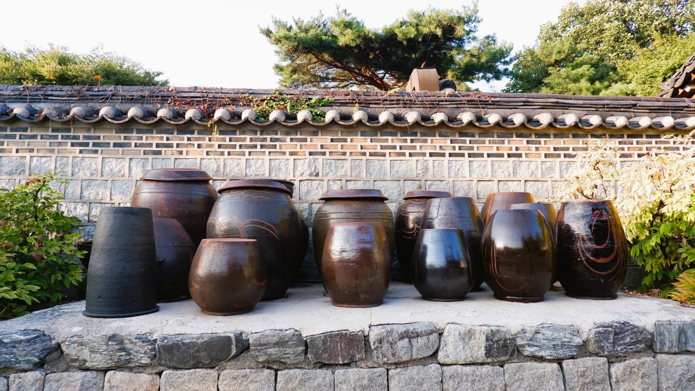 A row of dark brown traditional Korean onggi jars beside a stone wall in daylight.