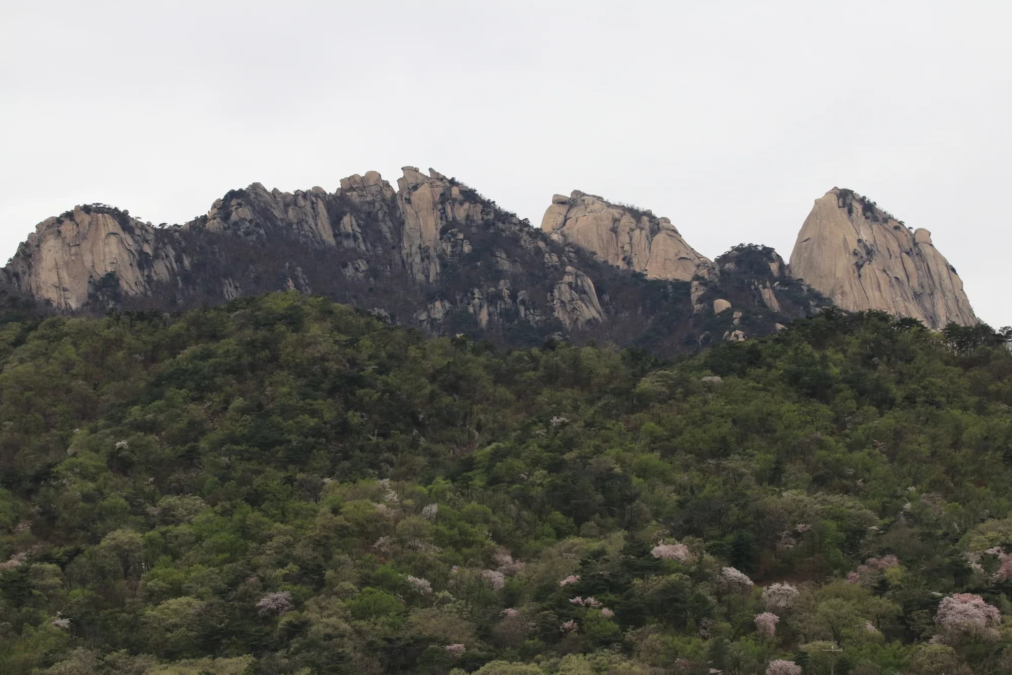 Bukhansan National Park in Seoul during spring
